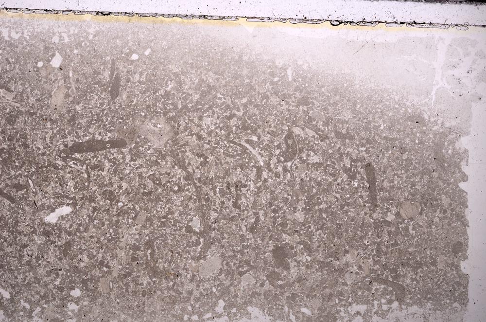 Plane Polarized, E43469