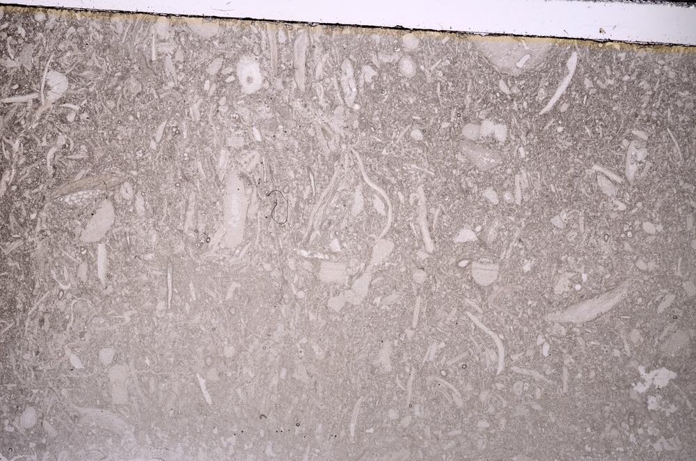 Plane Polarized, E43495
