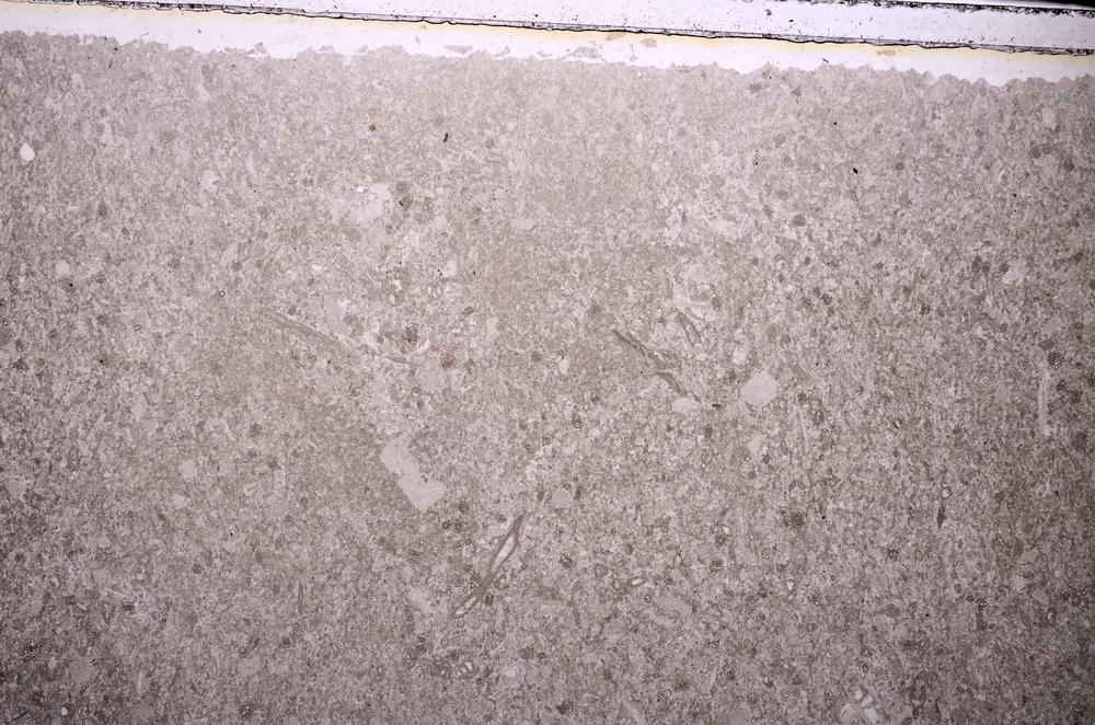 Plane Polarized, E43514