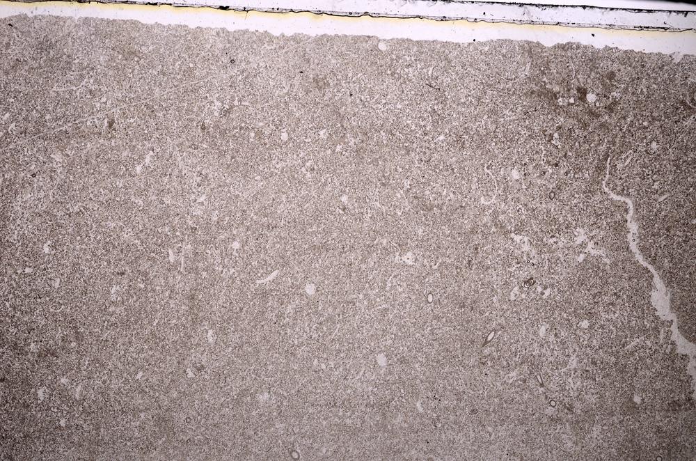 Plane Polarized, E43516