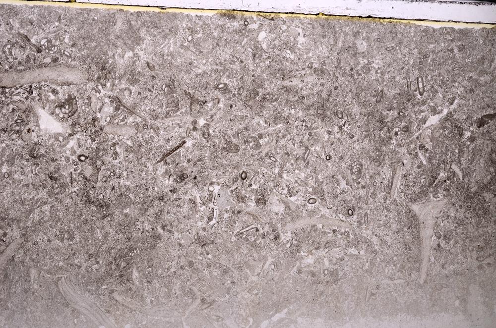 Plane Polarized, E43517