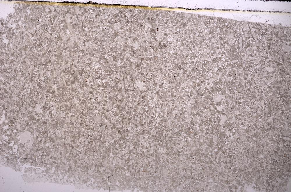 Plane Polarized, E43519