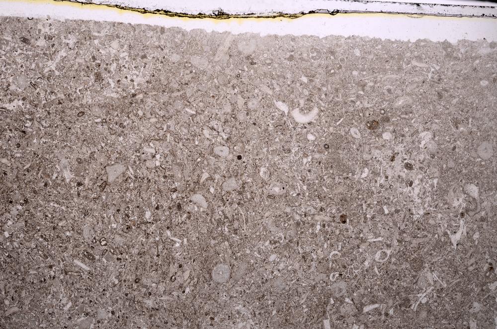Plane Polarized, E43521
