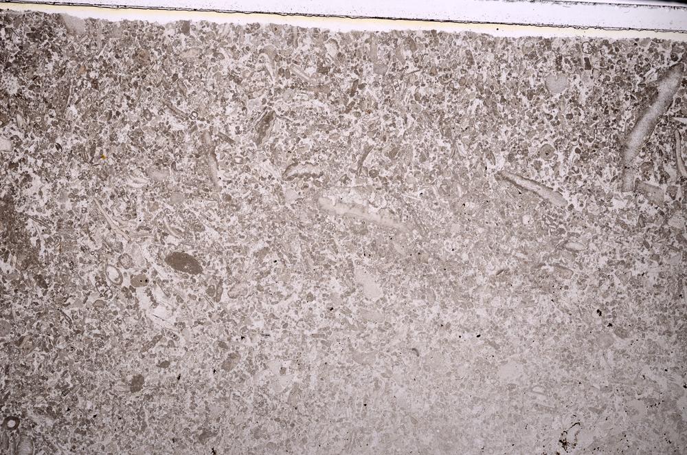 Plane Polarized, E43525