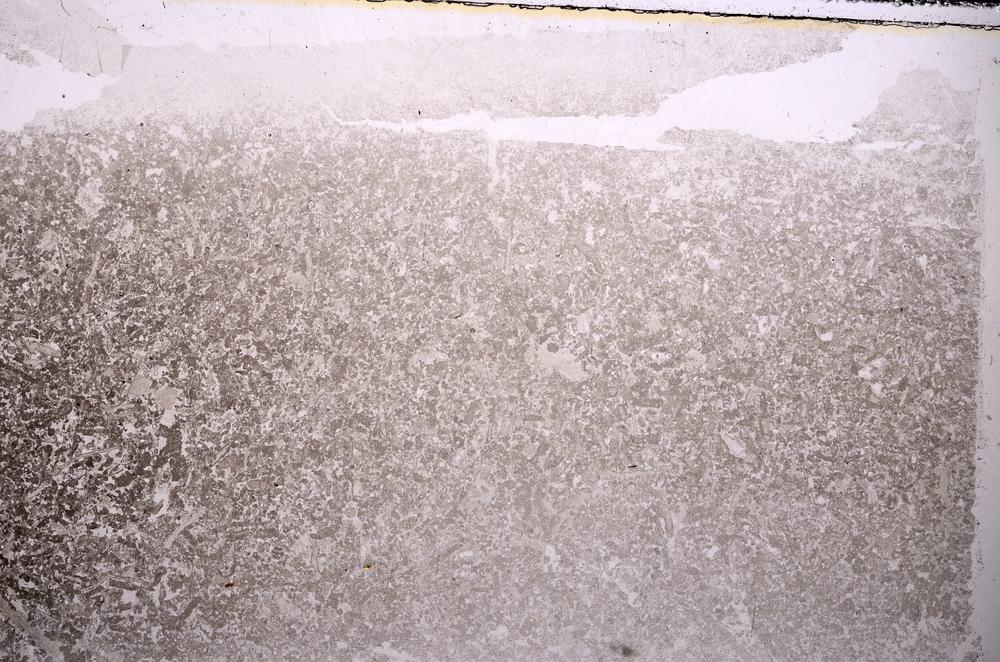 Plane Polarized, E43526