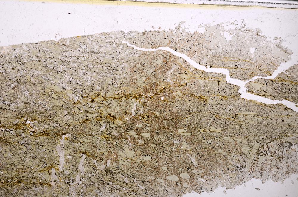 Plane Polarized, E43598