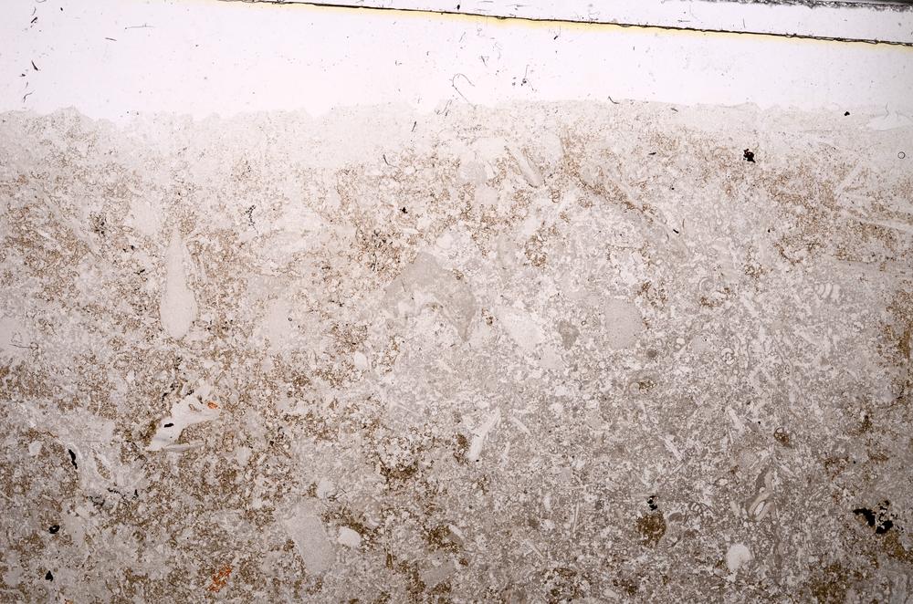 Plane Polarized, E43611