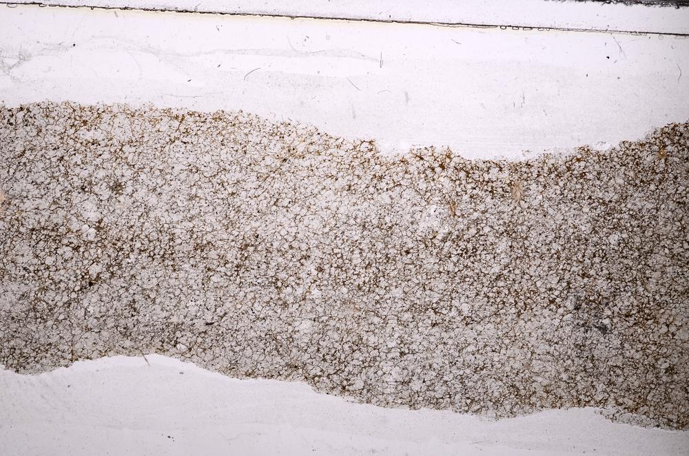 Plane Polarized, E43628