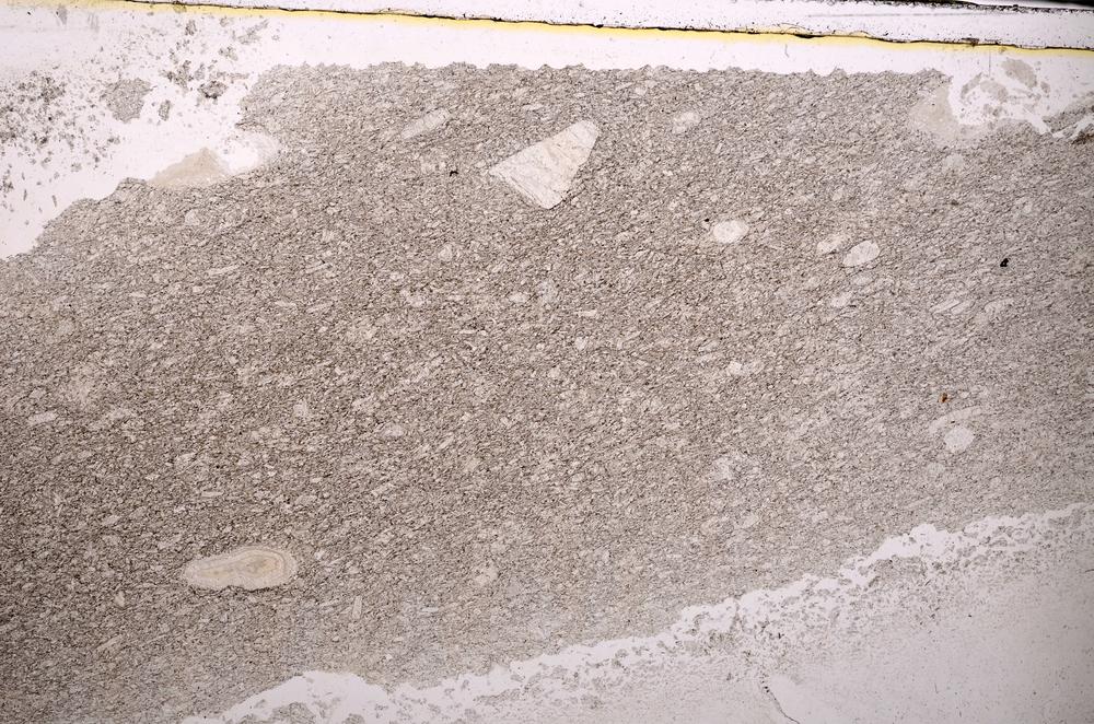 Plane Polarized, E43668