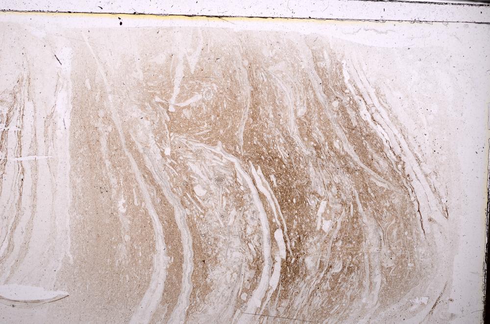 Plane Polarized, E43739