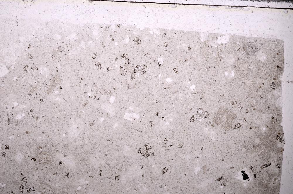 Plane Polarized, E43773