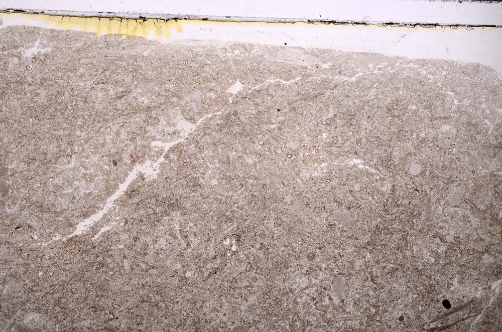 Plane Polarized, E43785/A