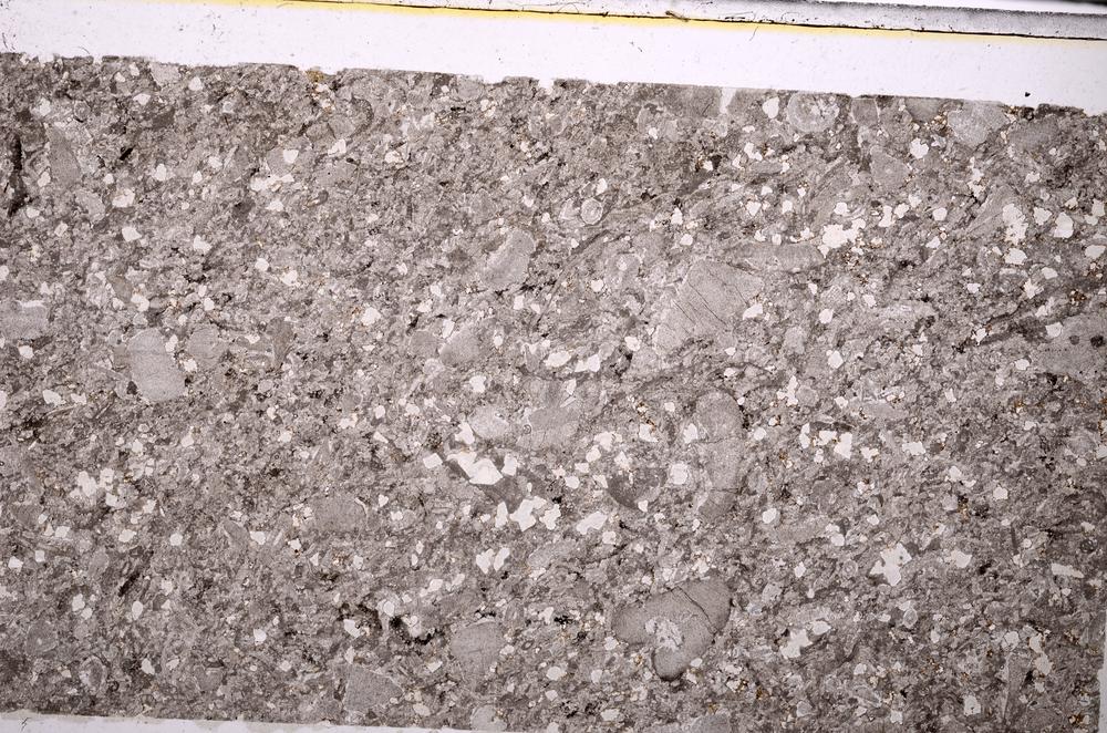 Plane Polarized, E43834