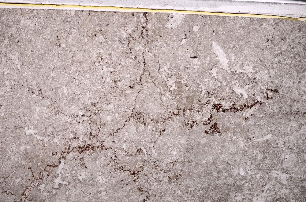 Plane Polarized, E43839/A