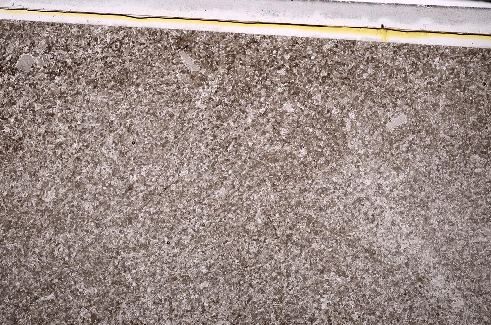 Plane Polarized, E43842