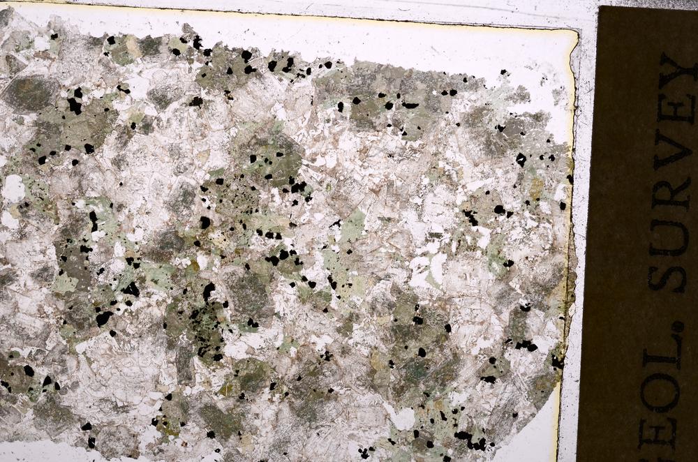 Plane Polarized, E43852