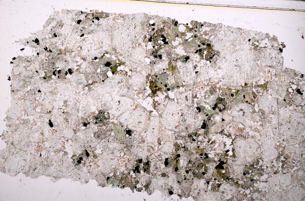 Plane Polarized, E43854