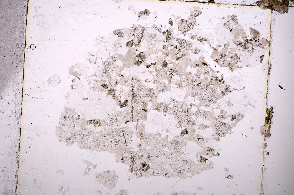 Plane Polarized, E43867