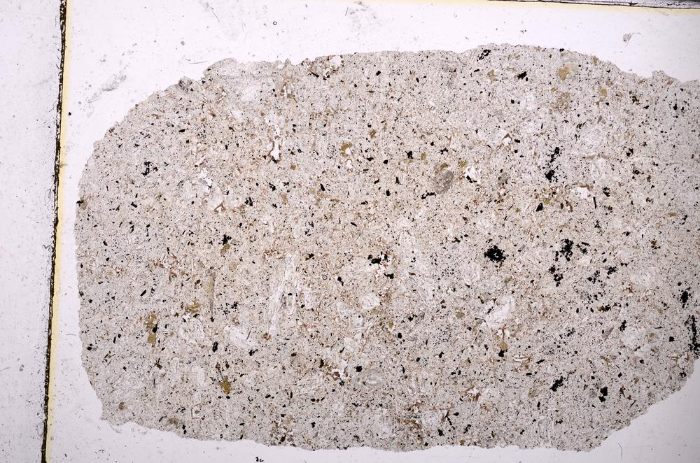 Plane Polarized, E43881