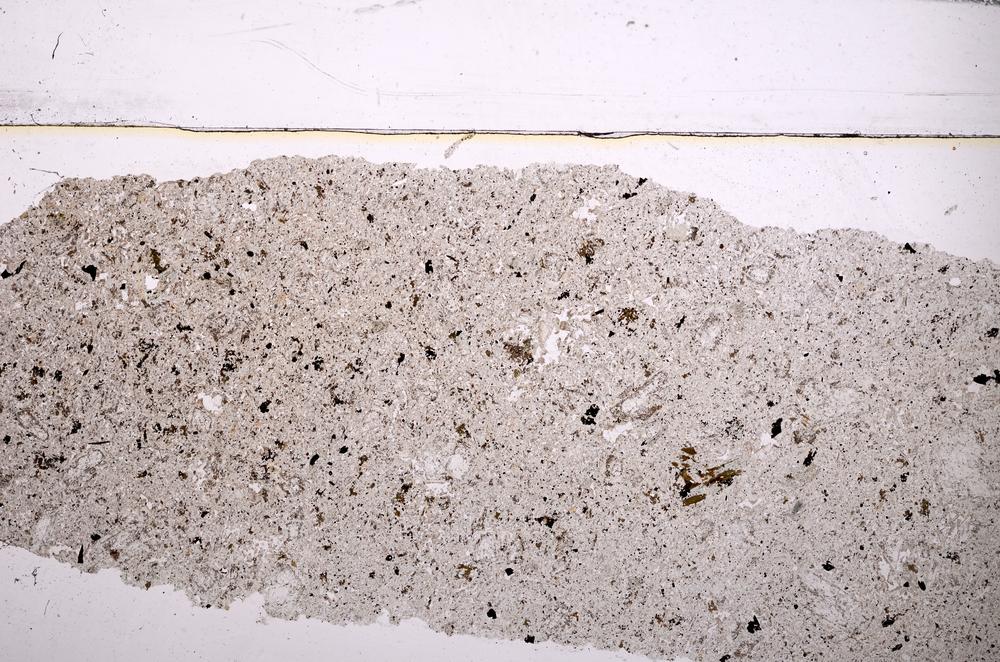 Plane Polarized, E43883