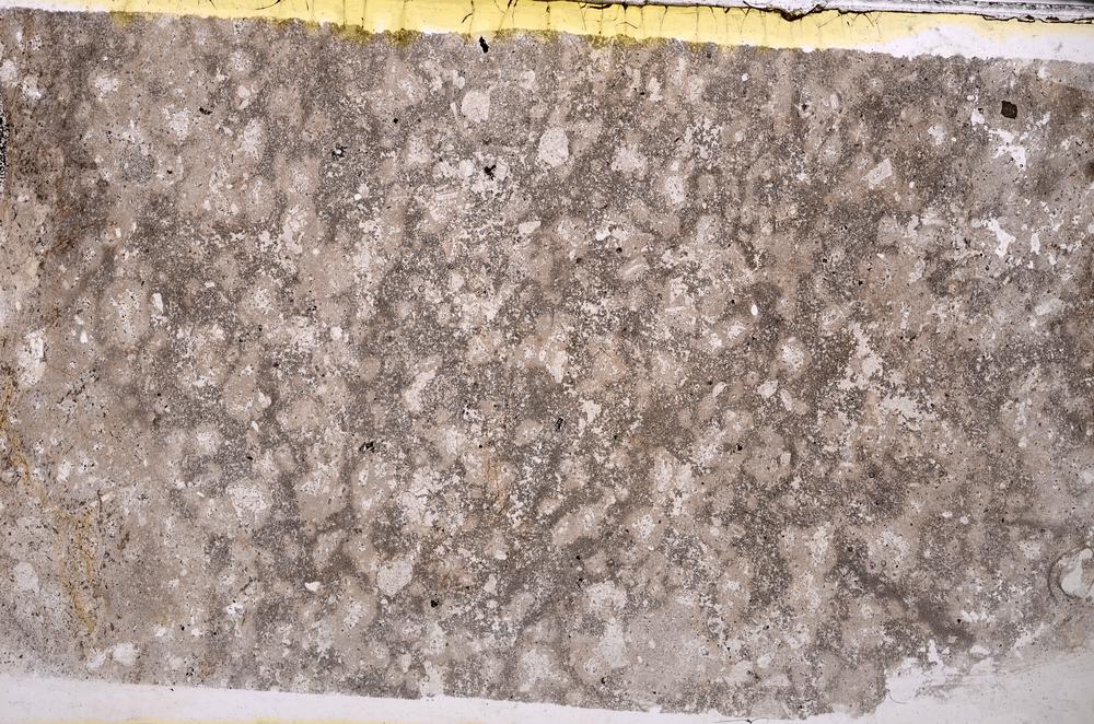 Plane Polarized, E43899