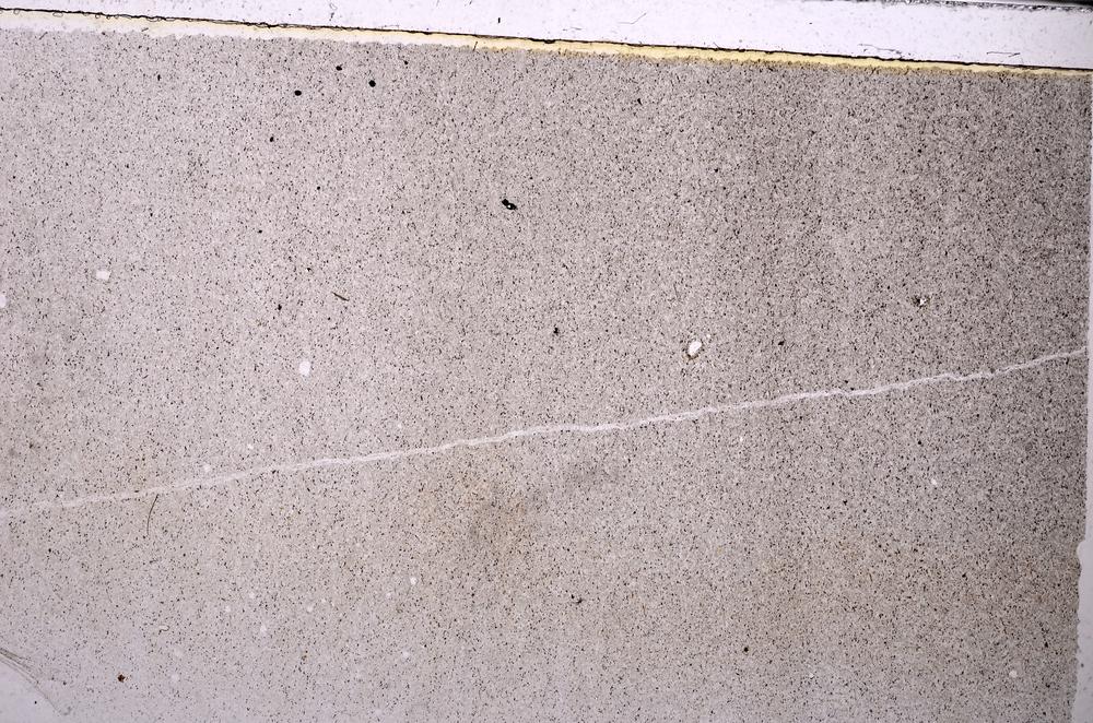 Plane Polarized, E43921