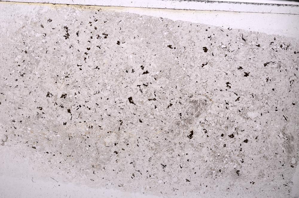 Plane Polarized, E43923