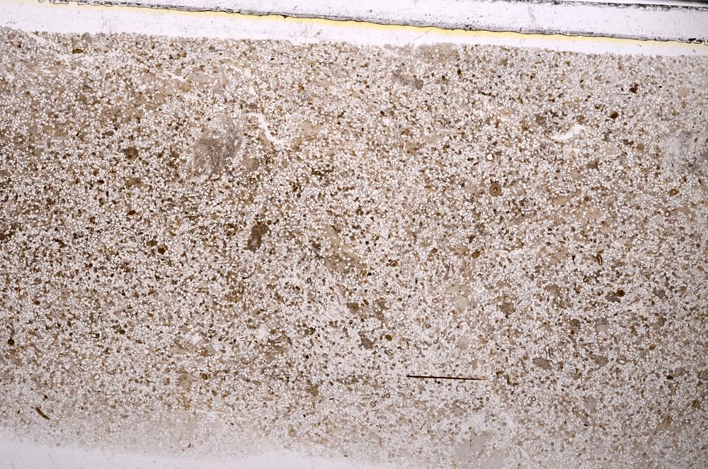 Plane Polarized, E43960