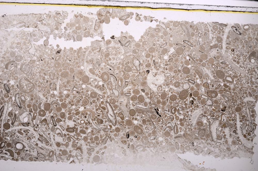 Plane Polarized, E43984