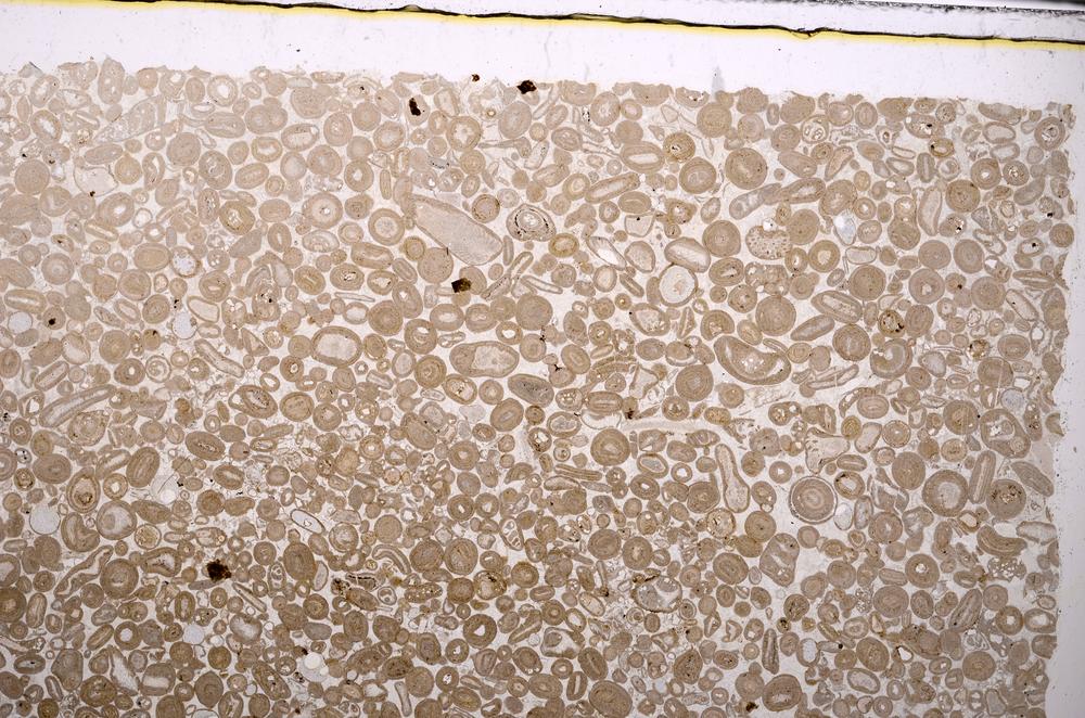 Plane Polarized, E43993