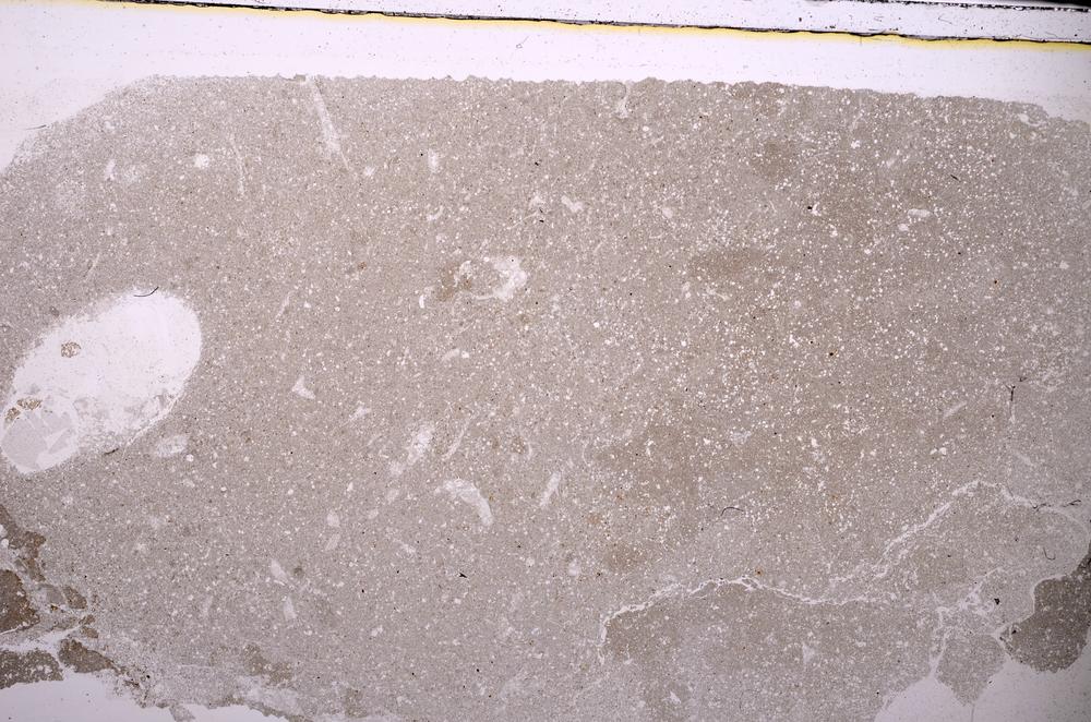 Plane Polarized, E43994