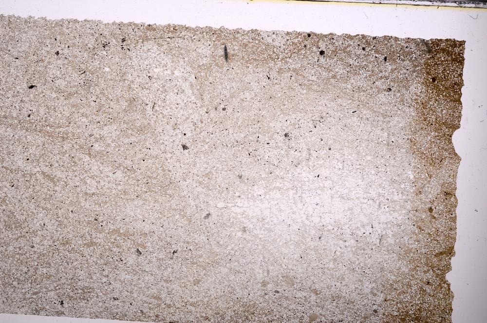 Plane Polarized, E44000