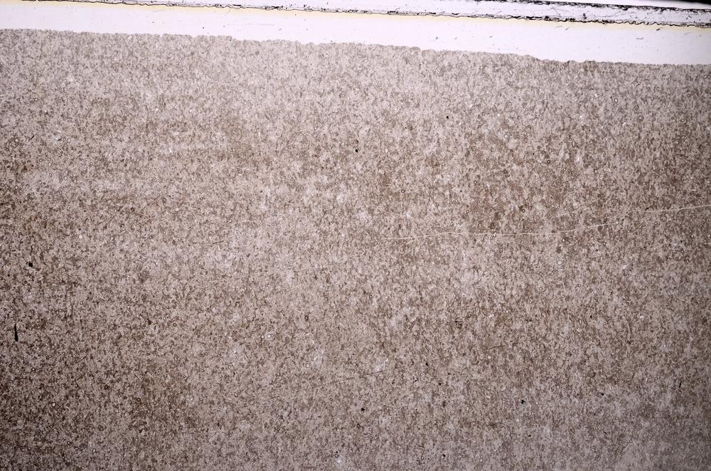 Plane Polarized, E44023