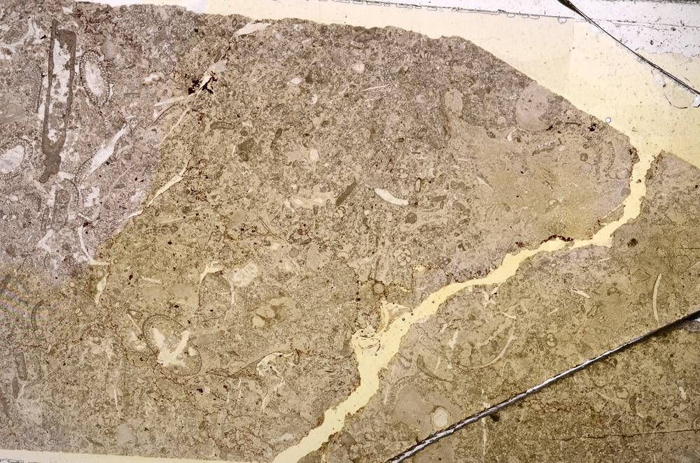 Plane Polarized, E44087