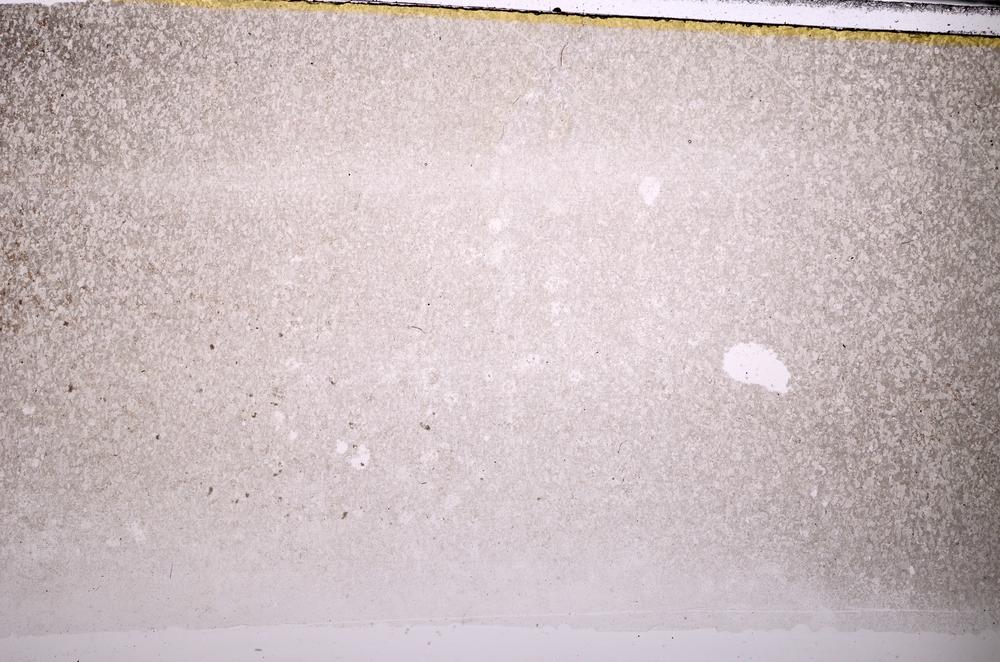 Plane Polarized, E44120