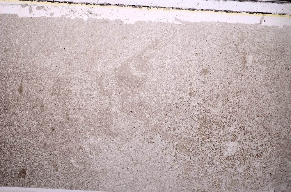 Plane Polarized, E44121