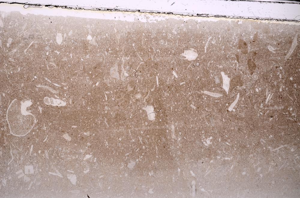 Plane Polarized, E44124