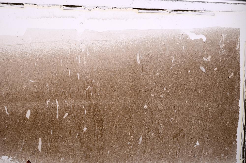 Plane Polarized, E44126