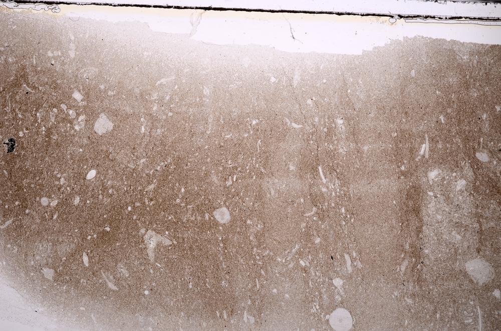 Plane Polarized, E44128
