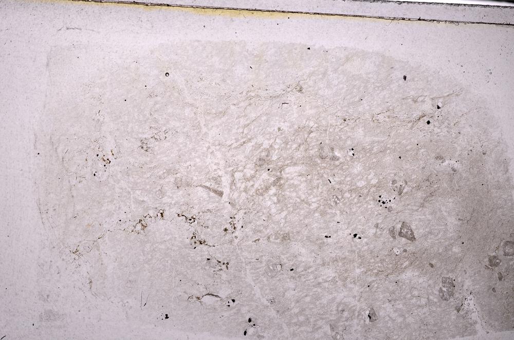 Plane Polarized, E44234