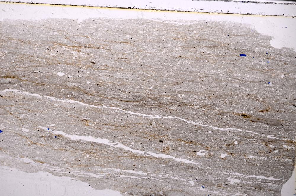 Plane Polarized, E44270