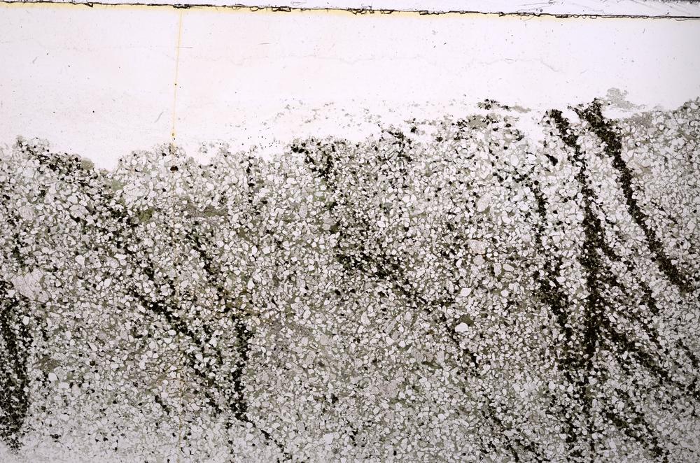 Plane Polarized, E44275