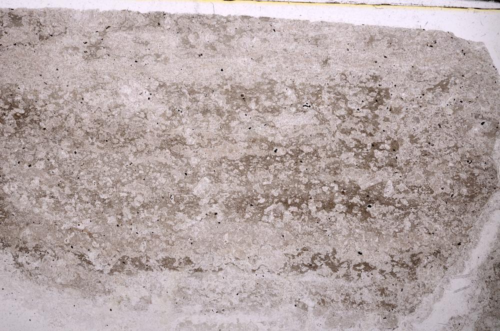 Plane Polarized, E44300