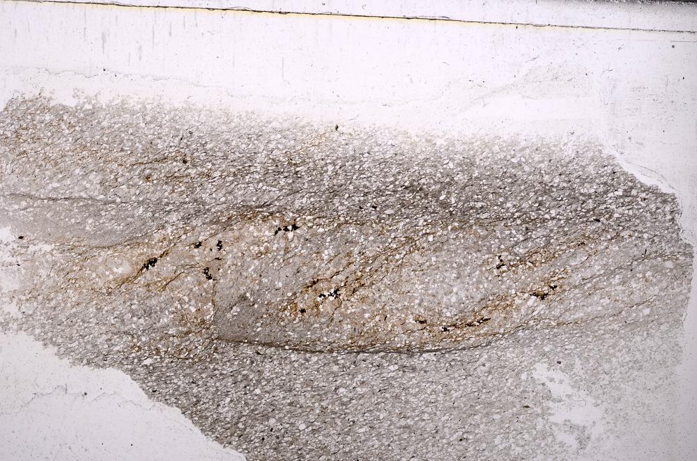 Plane Polarized, E44304