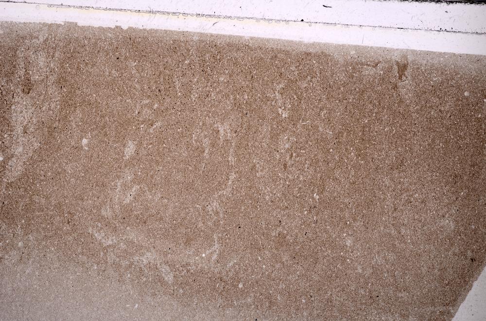 Plane Polarized, E44414