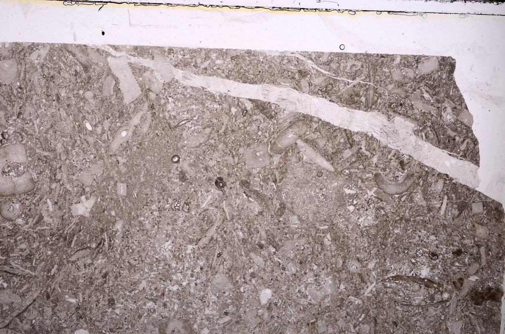 Plane Polarized, E44468