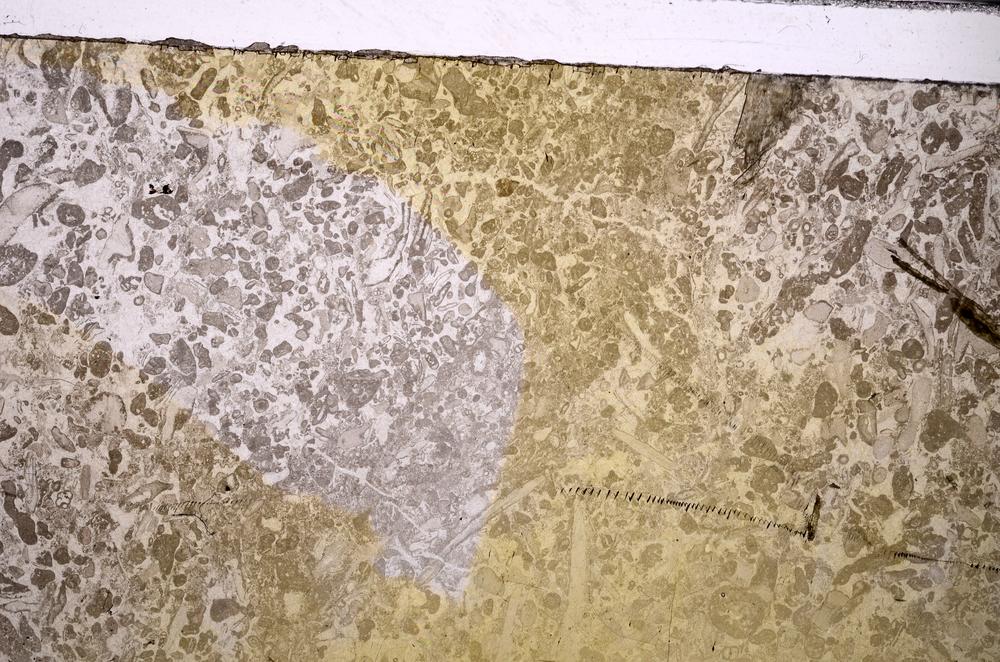 Plane Polarized, E44473