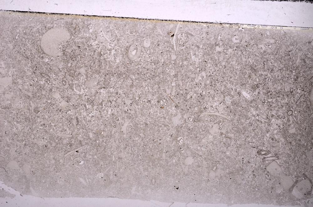 Plane Polarized, E44474