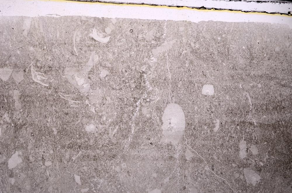 Plane Polarized, E44477