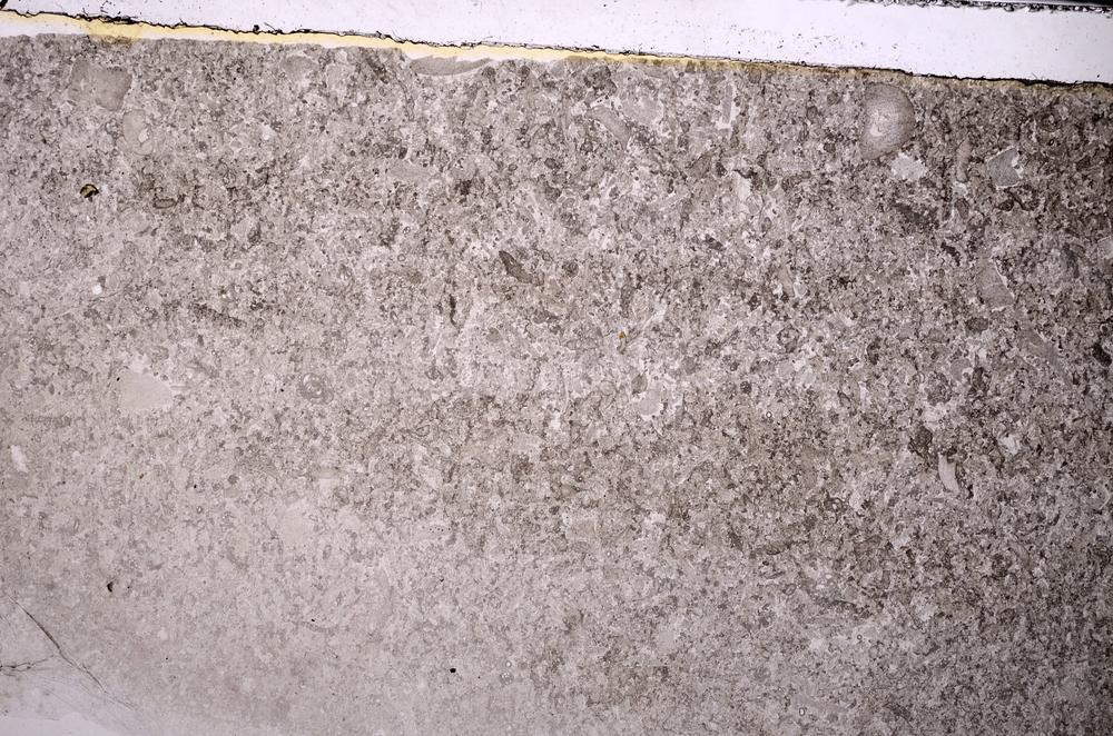 Plane Polarized, E44484